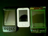 3t The Palm Z22 size report