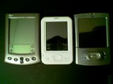 5t The Palm Z22 size report
