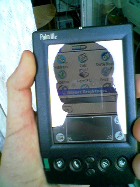 Palm Vii