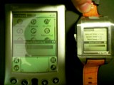 contrast(01) WristPDA screen contrast shootout: WristPDA vs Palm V