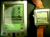 contrast(02) WristPDA screen contrast shootout: WristPDA vs Palm V