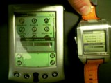 contrast(03) WristPDA screen contrast shootout: WristPDA vs Palm V