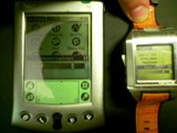 contrast(04) WristPDA screen contrast shootout: WristPDA vs Palm V