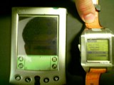 contrast(05) WristPDA screen contrast shootout: WristPDA vs Palm V
