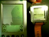 contrast WristPDA screen contrast shootout: WristPDA vs Palm V